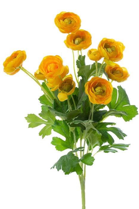 13" Silk Mini Ranunculus Yellow