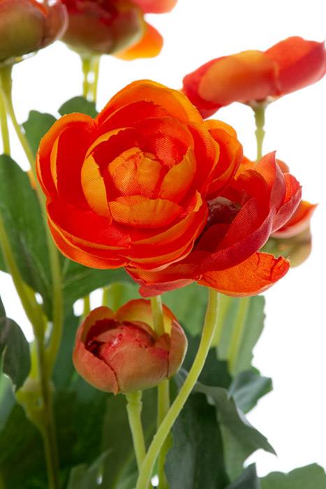 13" Silk Mini Ranunculus Orange