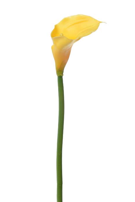 28" Large Calla Lily Yellow