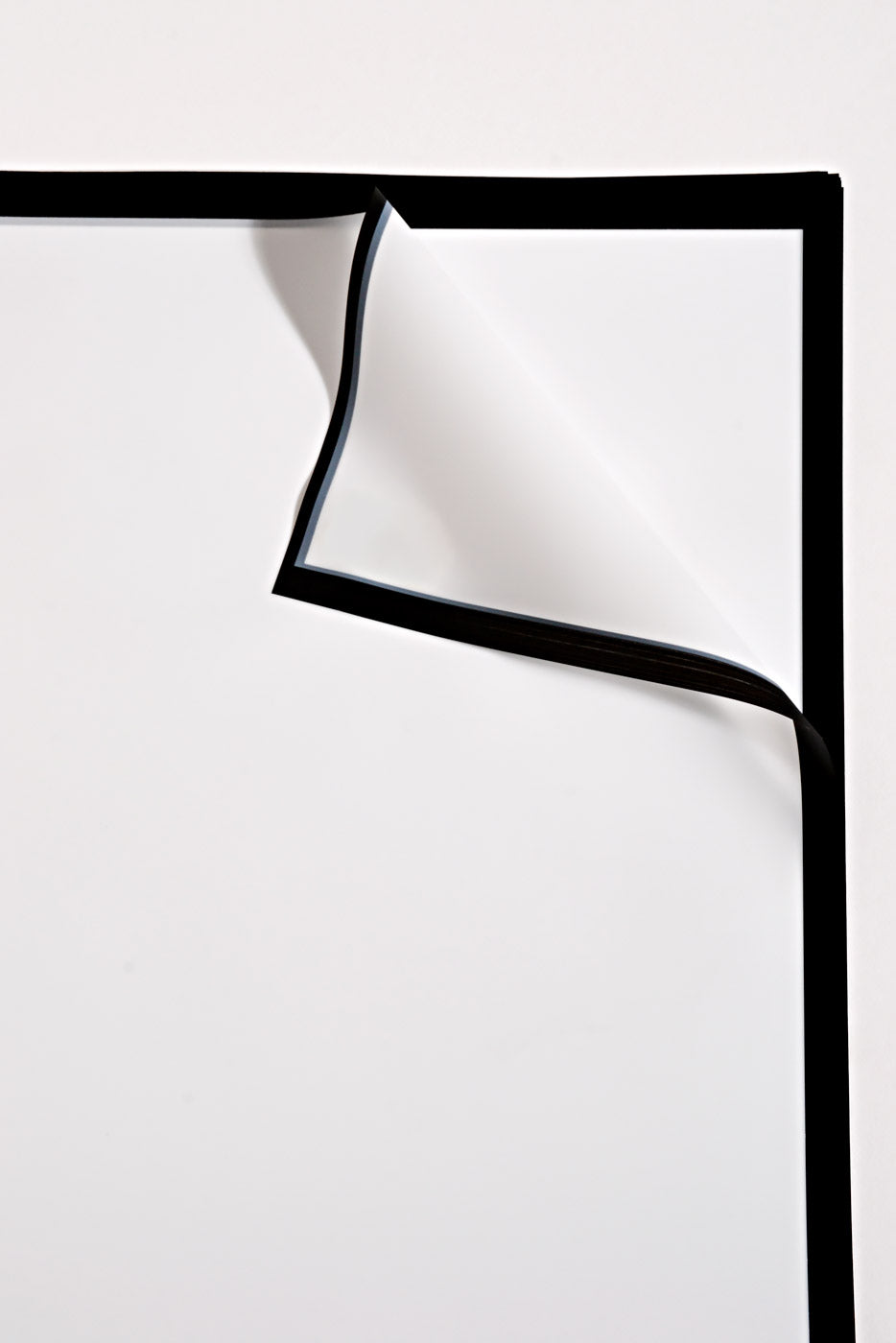 22.5" Flower Wrapping Paper W/Edge White/Black Pkg/20