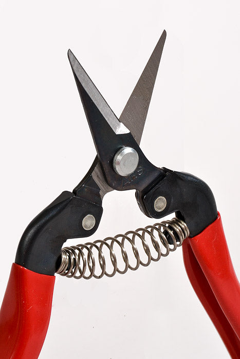 6.75" Short nose Pruner Rounded Tip Red/Black