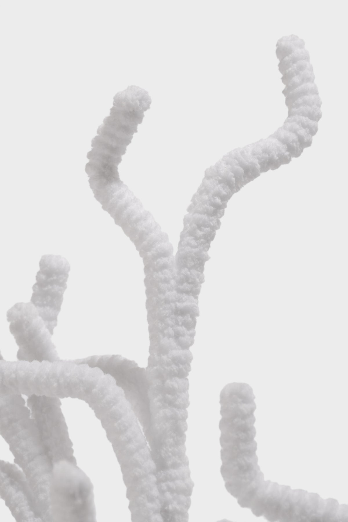 33.5" Twig Curly Stem White