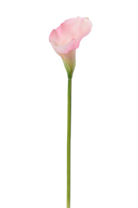 21" Calla Lily Stem Pink