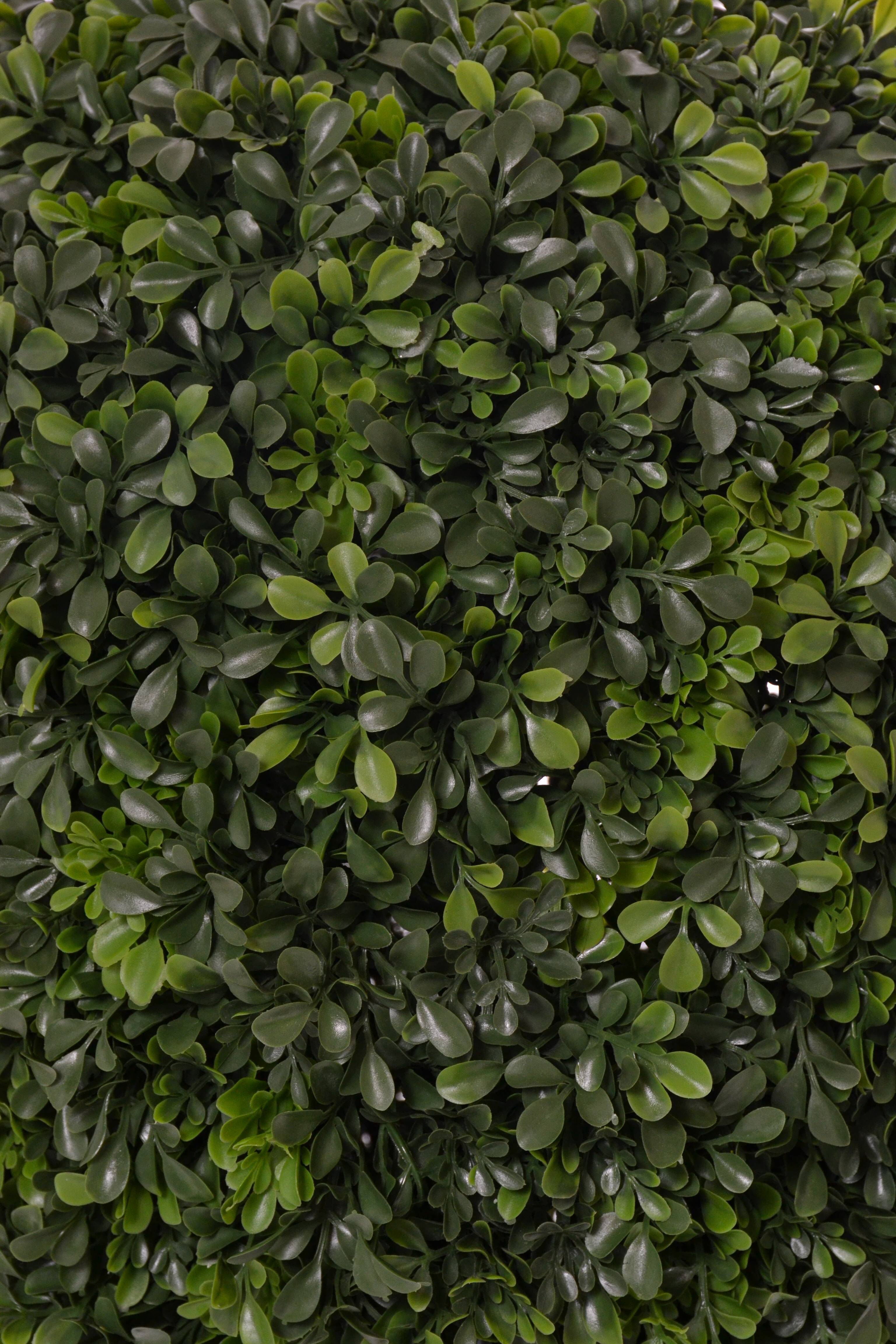 30" Boxwood Topiary w/Pot Green