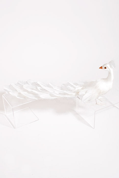 20" Feather Standing Peacock White