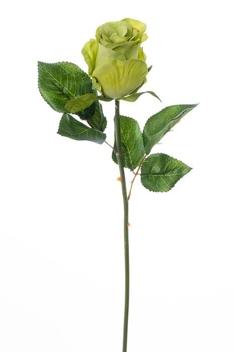 20" French Rose Bud Stem Green