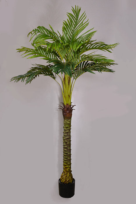 6Ft Artificial Royal Palm In Pot Green