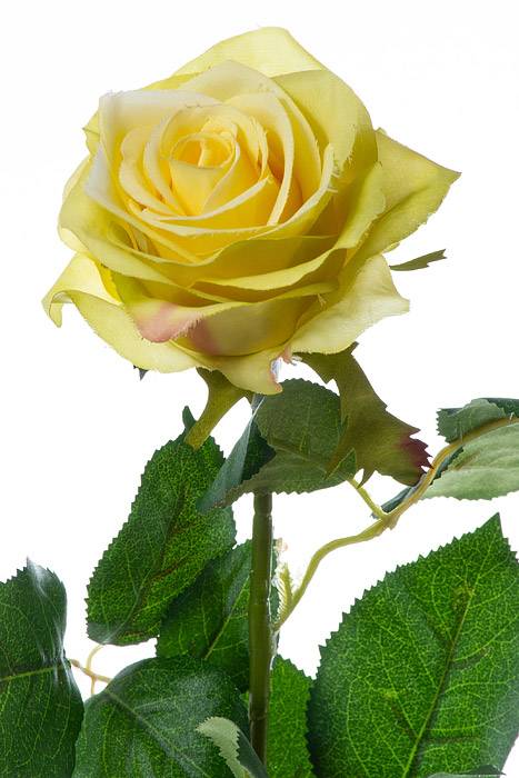 27.5" Silk Confetti Rose Spray Yellow