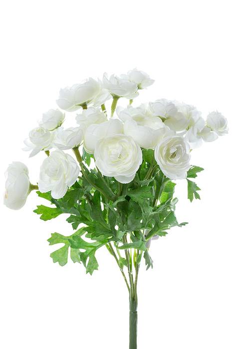 10" Silk Mini Ranunculus Bush Cream