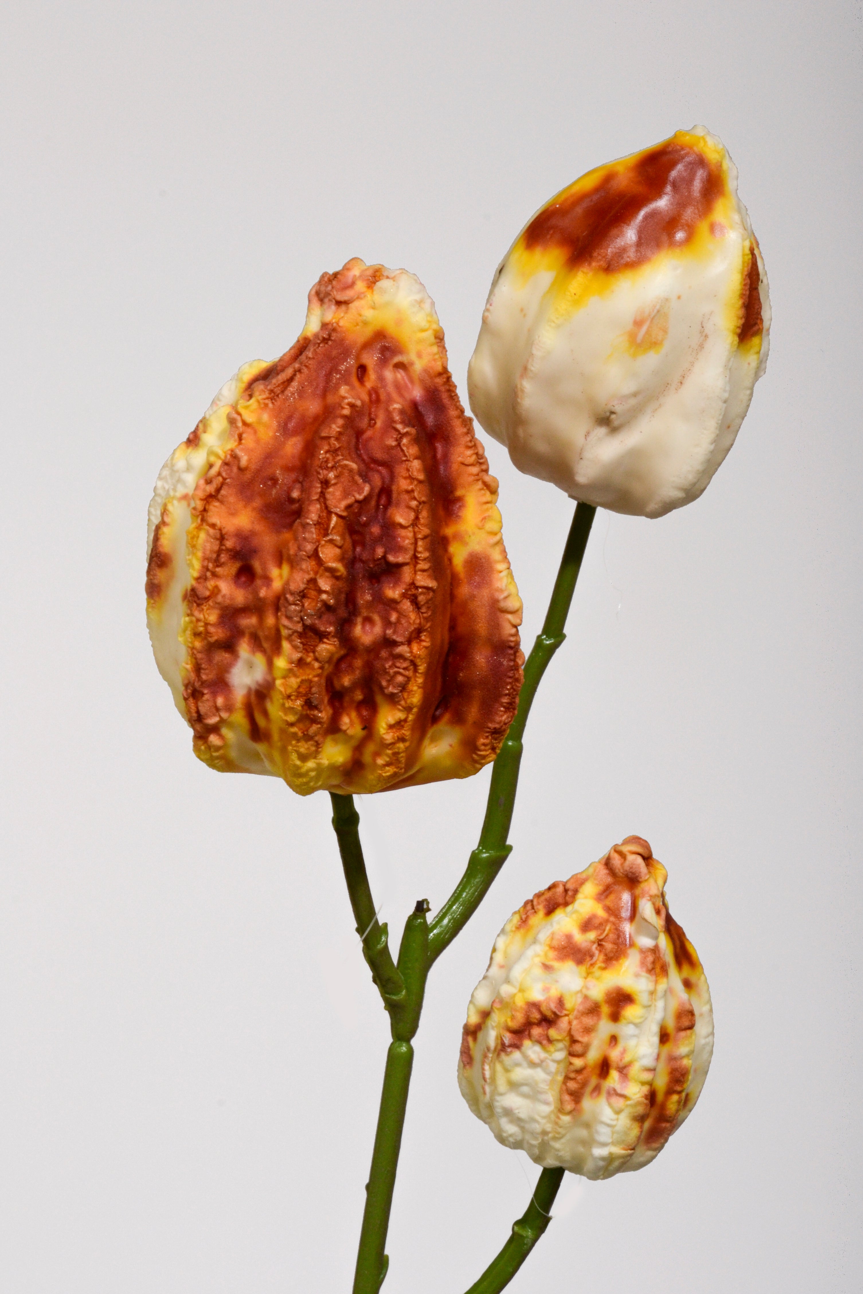 31.5" Artificial Japanese Lantern Spray Ivory/Brown