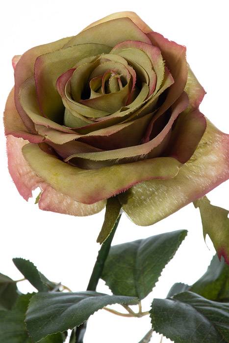 27.5" Confetti Rose Spray Green/burgundy