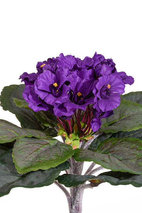 8" Silk Violet Bush Purple