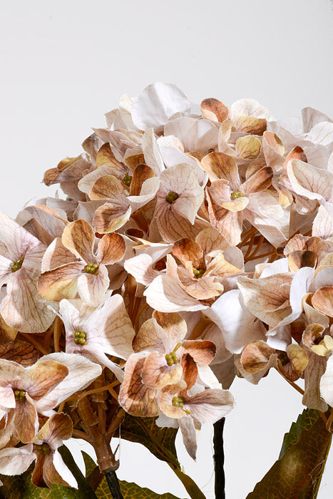 22" Autumn Hydrangea Bush Cream