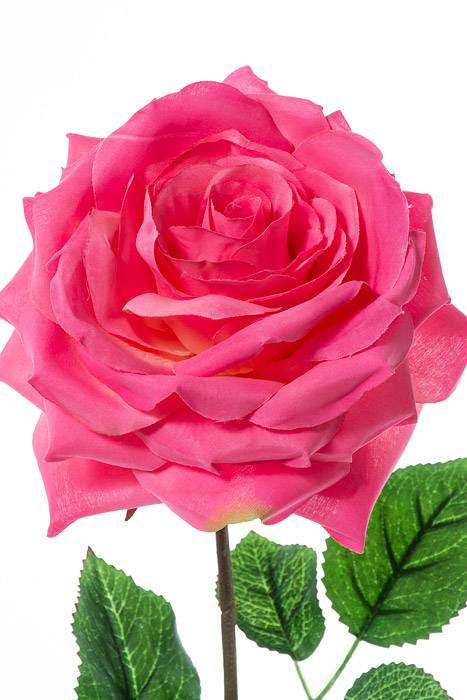 20" Open Rose Spray Fuschia