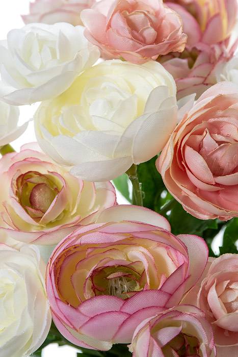 10" Silk Mini Ranunculus Bush Pink/ivory