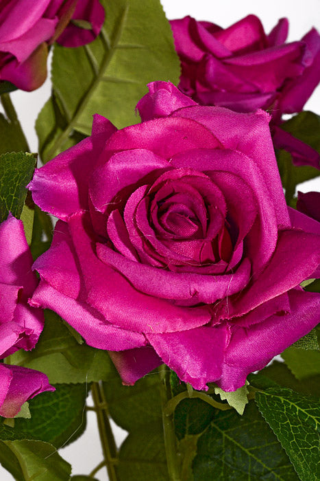 23" Silk Rose Bush Fuchsia