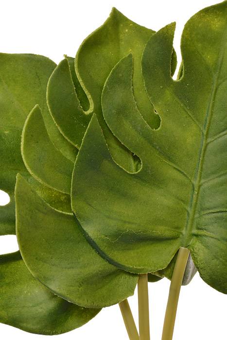 13" Soft Split Philo Green Bundle/3