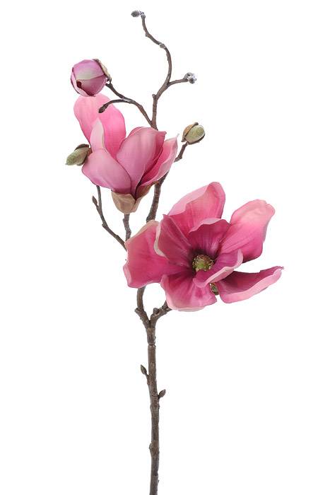 20" Silk Magnolia Spray Rose