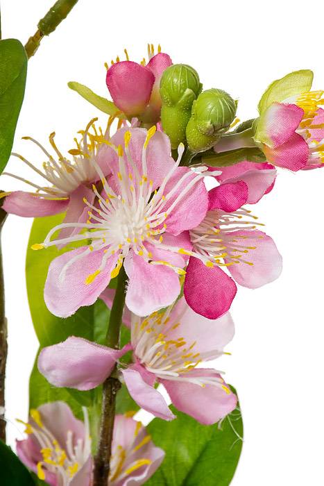 35" Silk Blossom Spray Pink