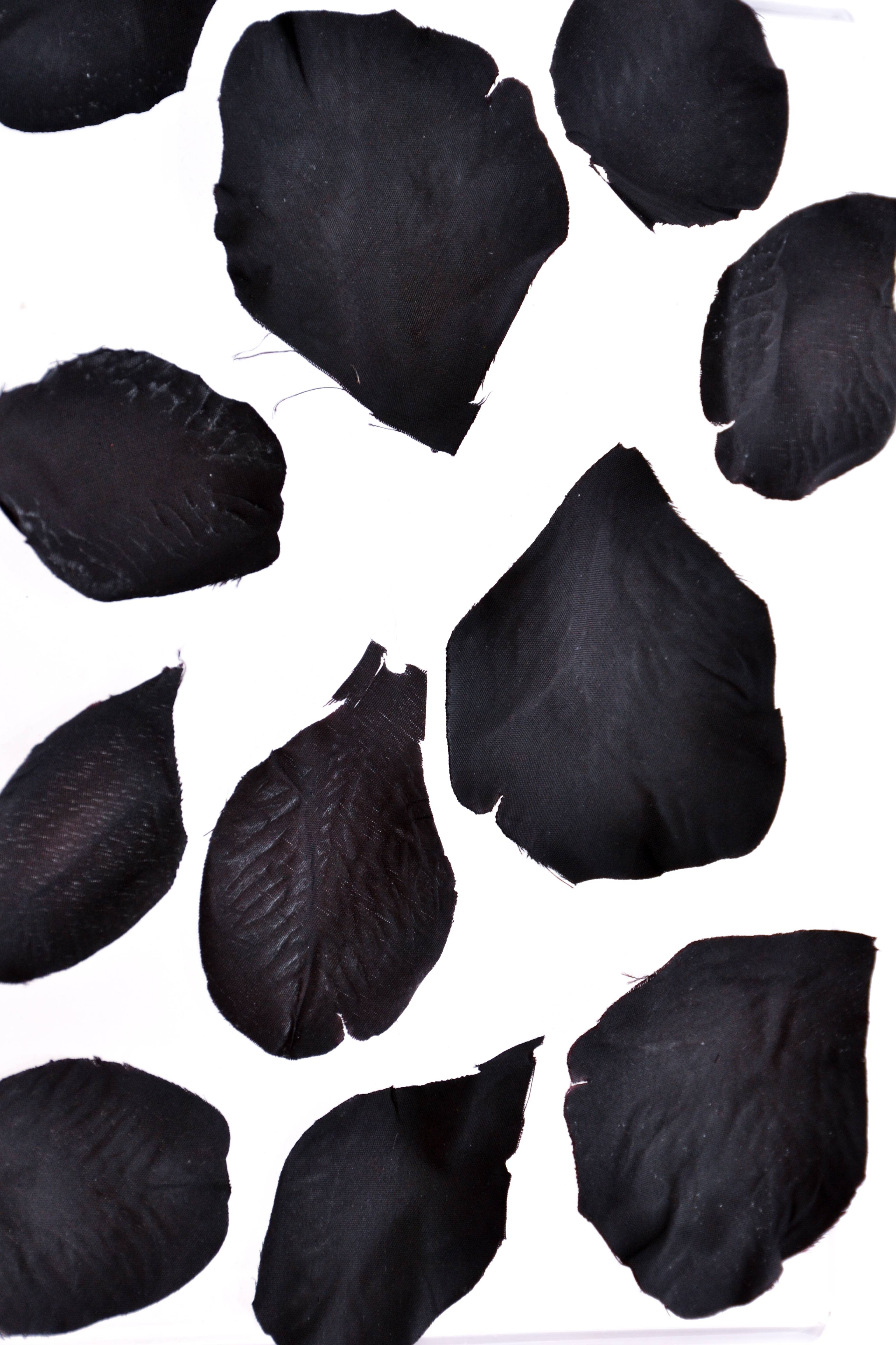 Silk Rose Petals Black Pkg/500