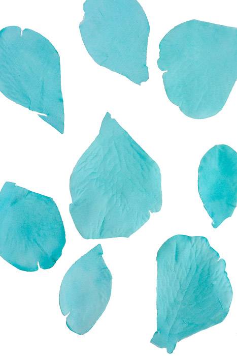 Silk Rose Petals Aqua Pkg/500