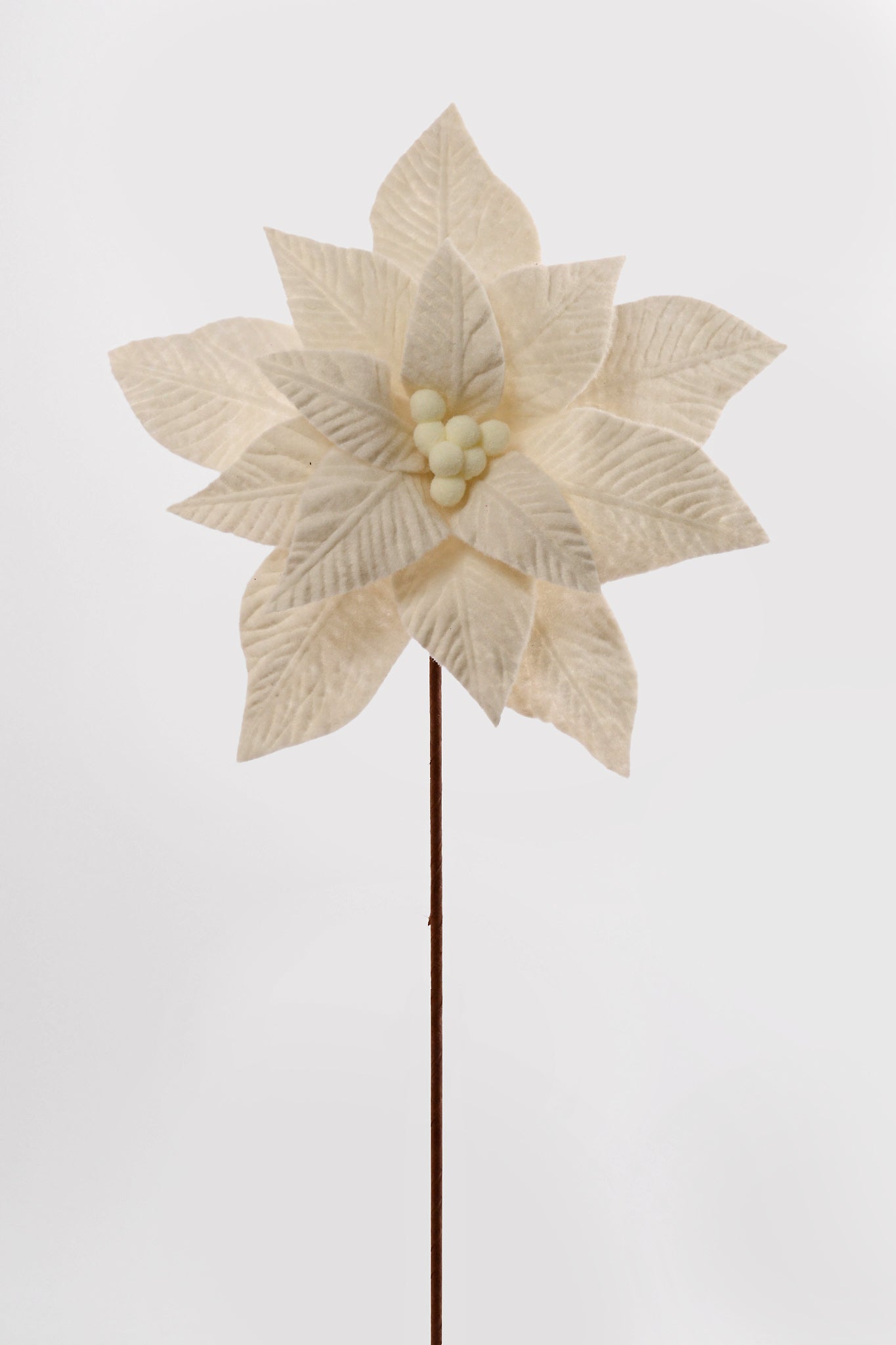 24" Poinsettia W/ Felt Center Stem Ivory