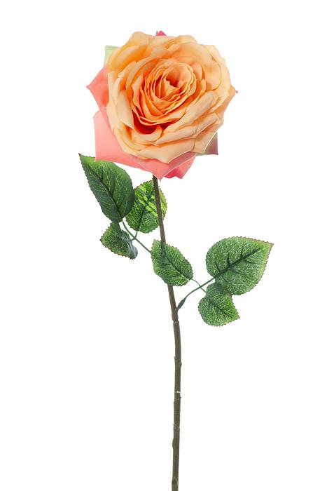 20" Open Rose Spray Apricot