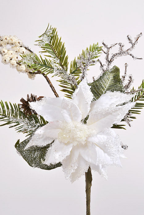 16" Iced Poinsettia Pine Pick White