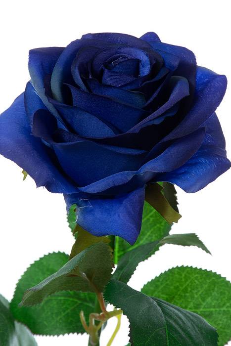 27.5" Silk Confetti Large Rose Spray Blue