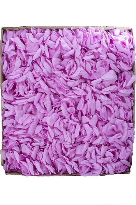 7" Rose Pick Lavender Pkg/100