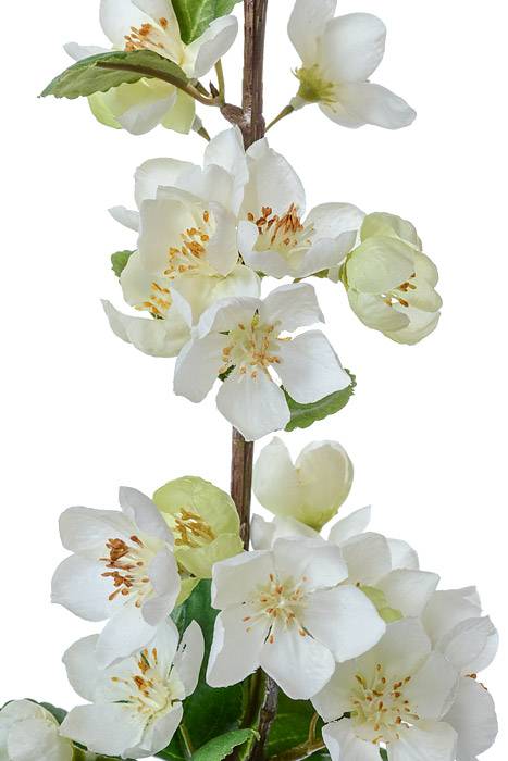 42" Silk Apple Blossom Spray White