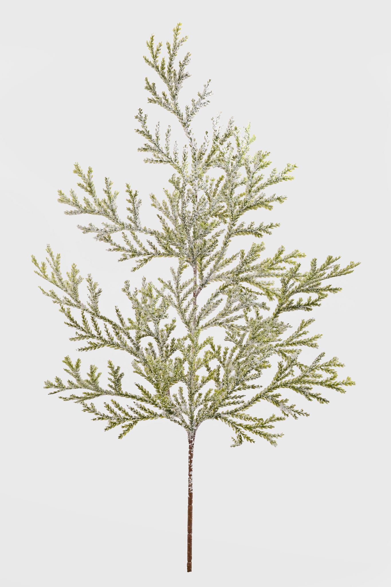 21" Frosted Lycopodium Spray Natural Frost