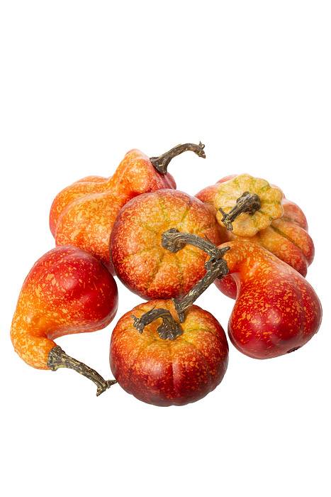 3 Style Pumpkin Fall Colors Pkg/6