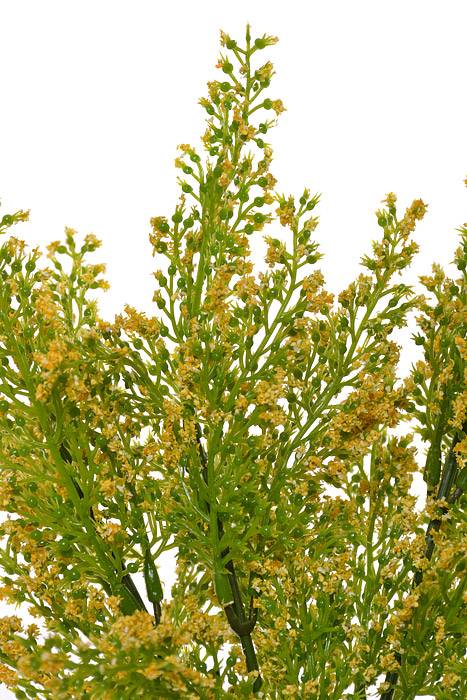 11" Mini Heather Bush Yellow