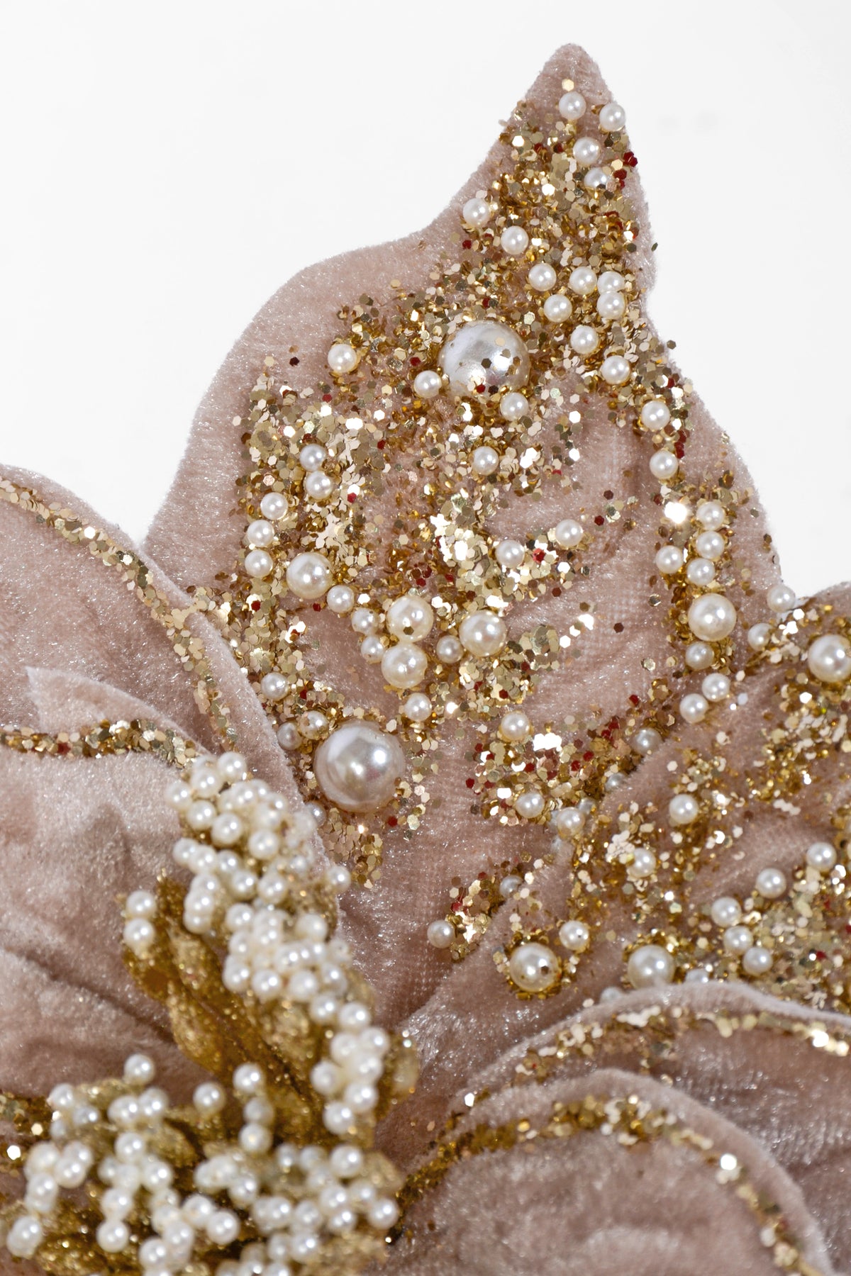 8.5" Poinsettia Cilp W/Pearls Champagne