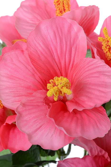 17" Silk Hibiscus Bush Pink