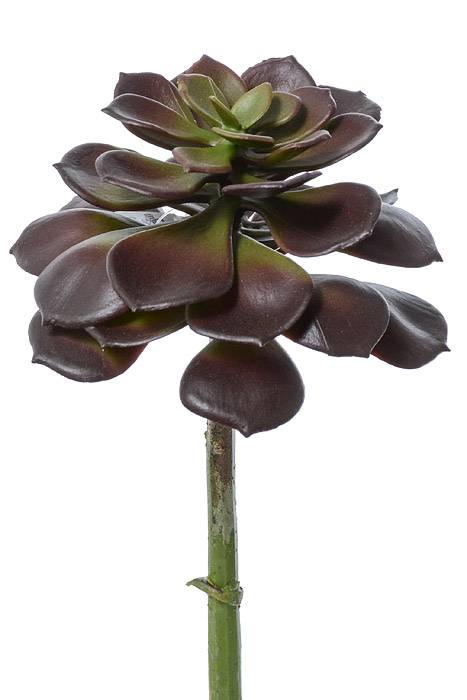 9" Artificial Echeveria Pick Burgundy/green