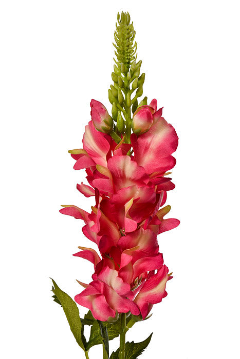 33.5" Silk Snapdragon Spray Beauty