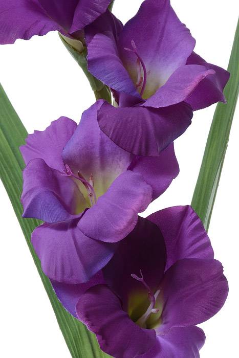 33" Silk Gladiolus Spray Purple