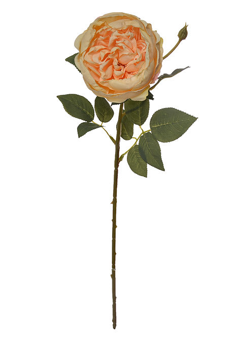 28.5" Silk Cottage Rose Spray Champagne