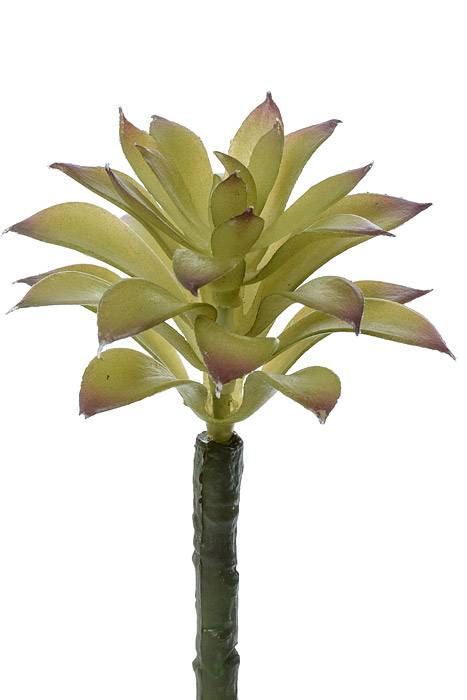 6" Artificial Succulent Green