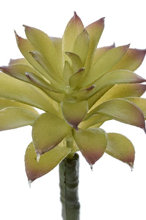 6" Artificial Succulent Green