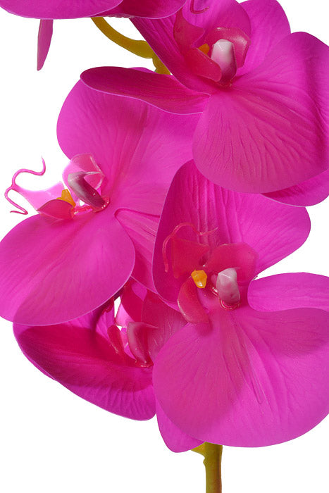 45" Silk Phalaenopsis Spray Purple