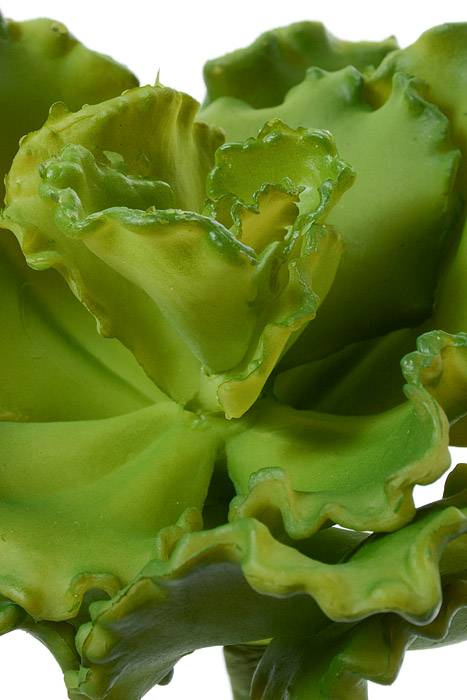 11" Artificial Curly Echeveria Green