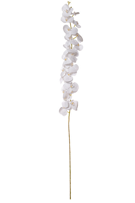 56" Silk Phalaenopsis Spray White