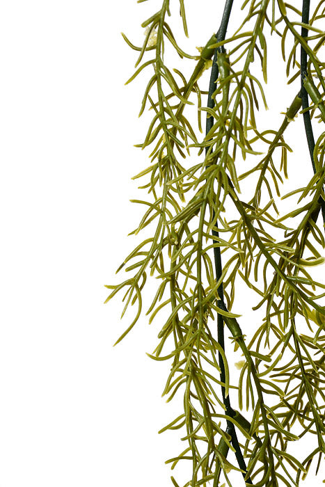 33.5" Rosemary Hanging Bush Light Green