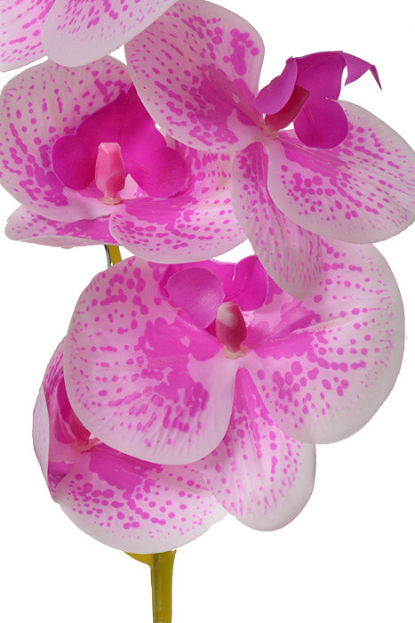 45" Silk Phalaenopsis Spray Orchid/Violet