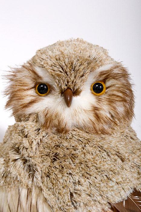 19.5" Winter Chalet Feather Owl Natural Cream