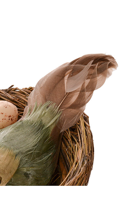 3.5" Chickadee in Nest w/2 Eggs Green