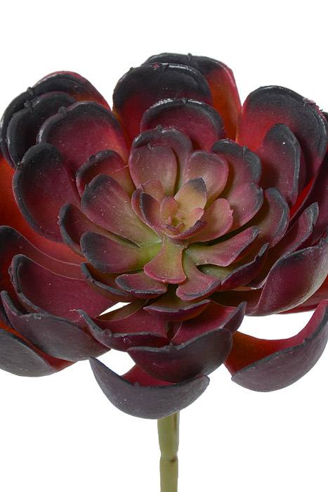 4" Artificial Echeveria Pick Burgundy/green
